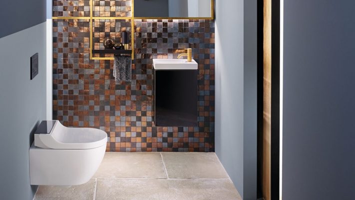 The Bathroom Company Geberit Toilets